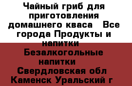 Чайный гриб для приготовления домашнего кваса - Все города Продукты и напитки » Безалкогольные напитки   . Свердловская обл.,Каменск-Уральский г.